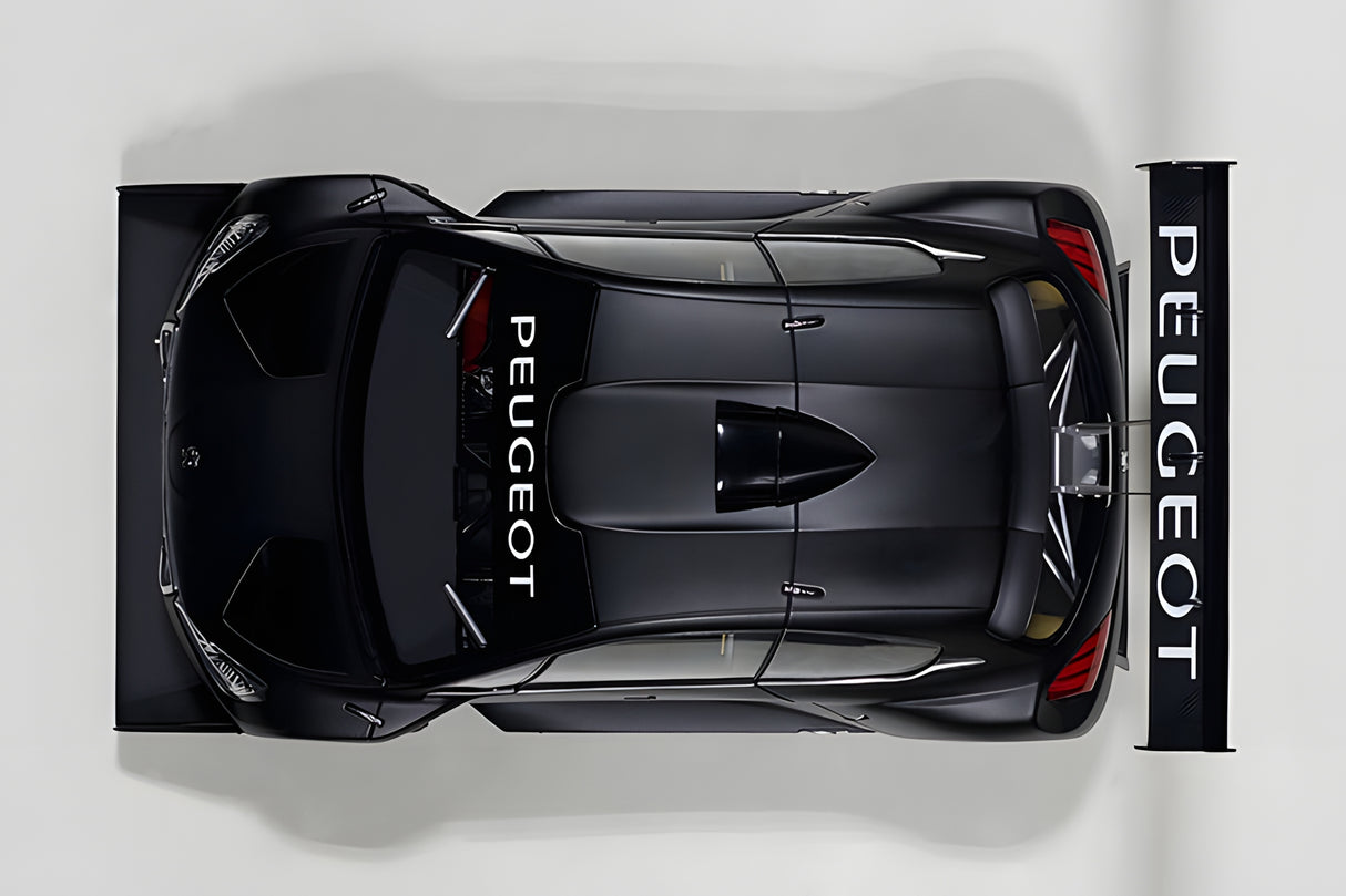AUTOart 1:18 Peugeot 206 T16 Pikes Peak Race Car 2013, Plain Color Version, Black (81356)