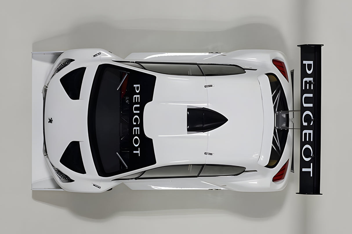 AUTOart 1:18 Peugeot 206 T16 Pikes Peak Race Car 2013, Plain Color Version, White (81355)