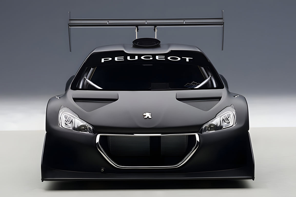 AUTOart 1:18 Peugeot 206 T16 Pikes Peak Race Car 2013, Plain Color Version, Black (81356)