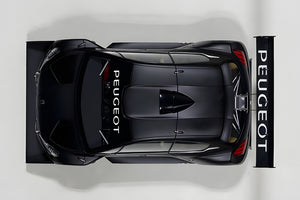 AUTOart 1:18 Peugeot 206 T16 Pikes Peak Race Car 2013, Plain Color Version, Black (81356)